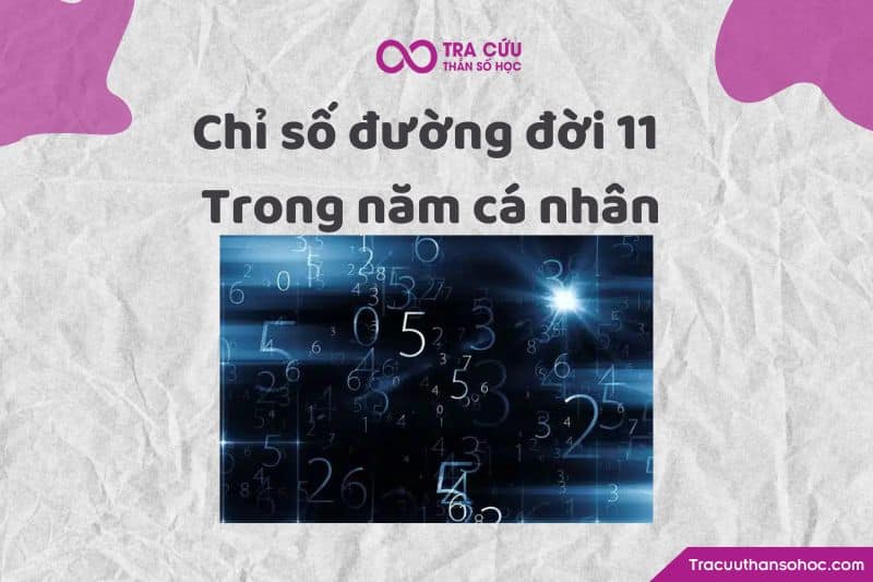 Chỉ số đường đời 11 trong năm cá nhân Chỉ số đường đời 11 trong năm cá nhân