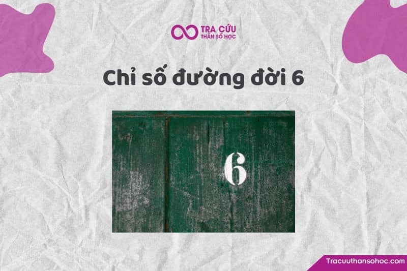 Chỉ số đường đời 6 là gì? Đặc điểm tính cách, tình duyên và sự nghiệp số chủ đạo 6 1 Chỉ số đường đời 6 là gì? Khám phá tính cách, tình duyên và nghề nghiệp phù hợp