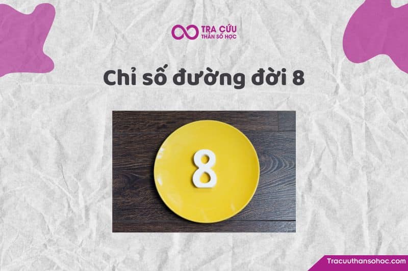 Chỉ số đường đời 8 là gì? Đặc điểm tính cách, tình duyên và sự nghiệp số chủ đạo 8 1 Chỉ số đường đời 8 là gì? Khám phá tính cách, tình duyên và nghề nghiệp phù hợp