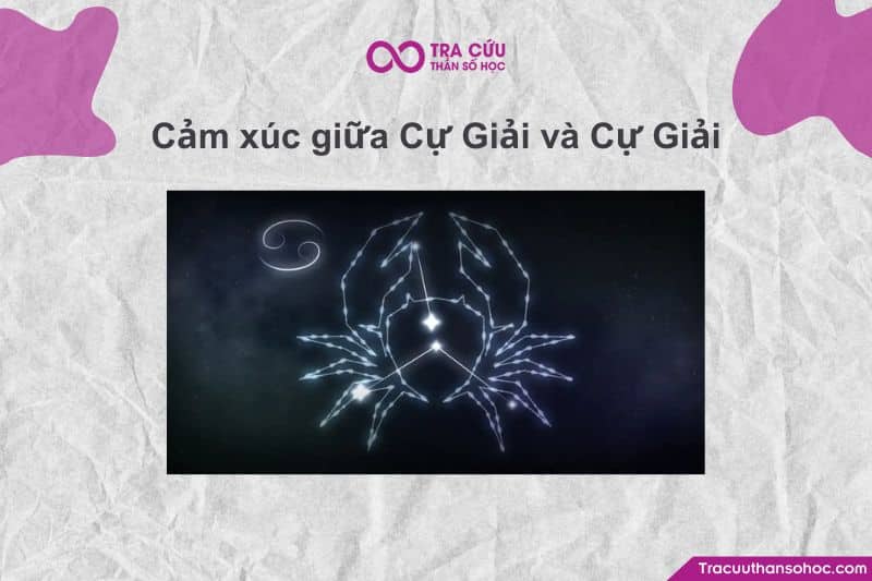 Cả hai đều có trực giác rất mạnh, nên dễ cảm nhận tâm trạng của đối phương mà không cần nói. Cả hai đều có trực giác rất mạnh, nên dễ cảm nhận tâm trạng của đối phương mà không cần nói.