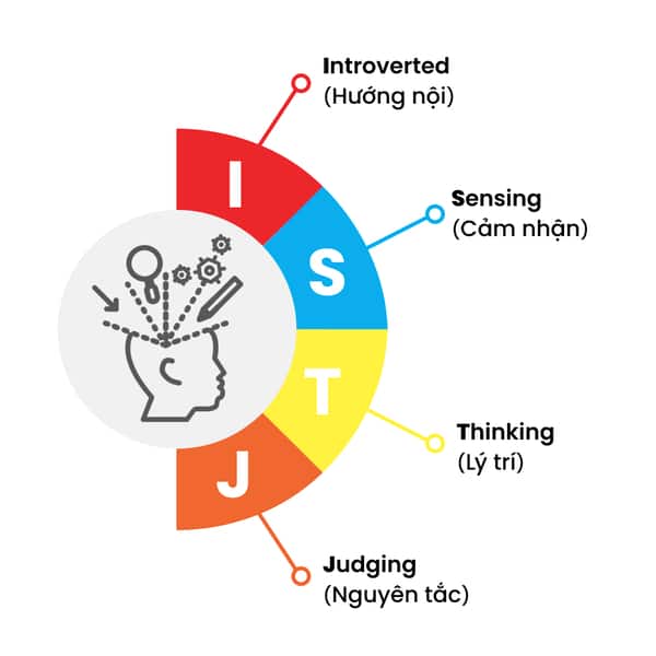 Tính cách ISTJ trong MBTI đánh giá cao lòng trung thành Tính cách ISTJ trong MBTI đánh giá cao lòng trung thành